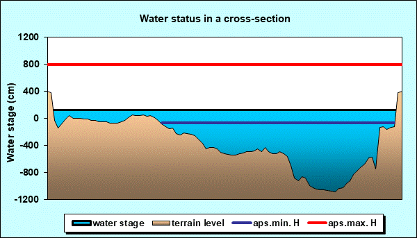 Water status in a cross - section