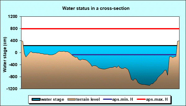 Water status in a cross - section