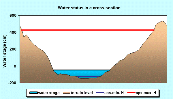 Water status in a cross - section