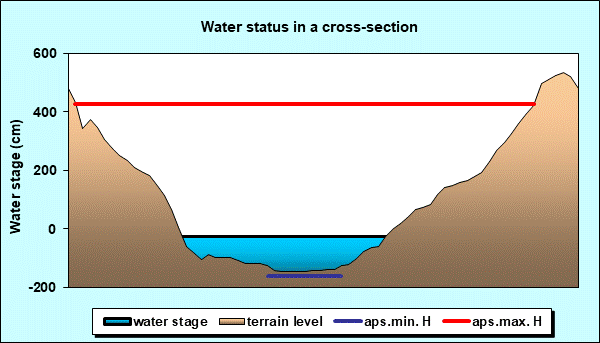 Water status in a cross - section