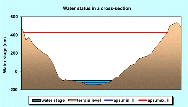 Water status in a cross - section