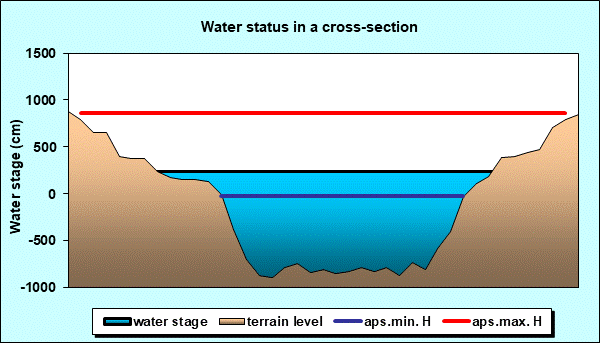 Water status in a cross - section