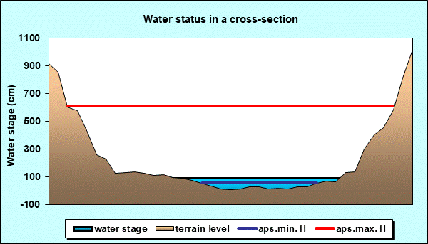 Water status in a cross - section