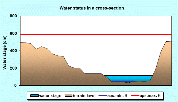 Water status in a cross - section