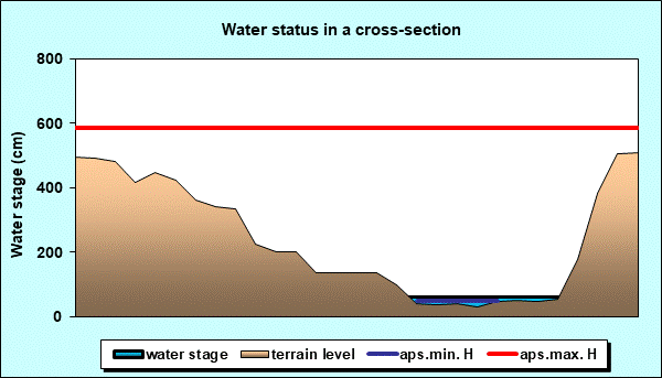 Water status in a cross - section