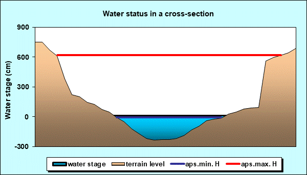 Water status in a cross - section