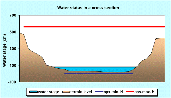 Water status in a cross - section