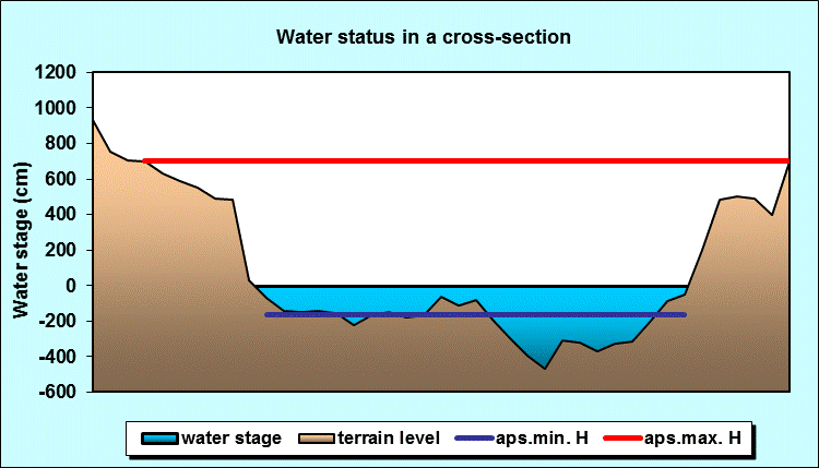 Water status in a cross - section