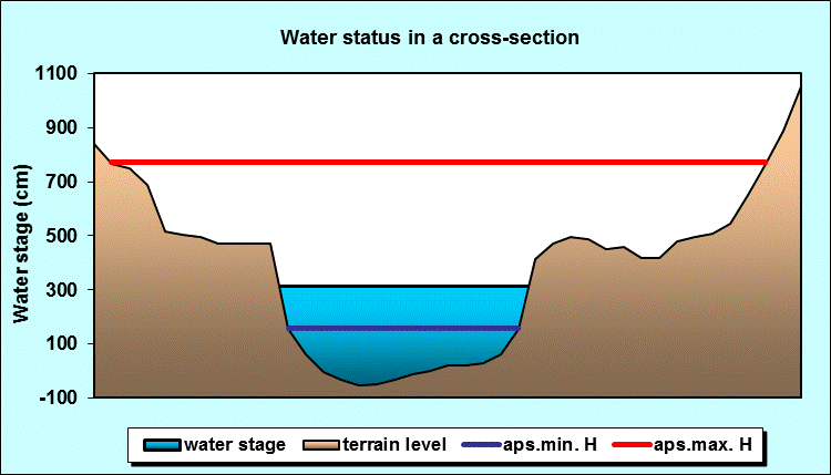 Water status in a cross - section