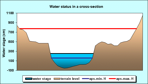 Water status in a cross - section