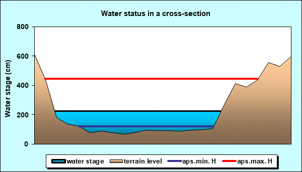 Water status in a cross - section