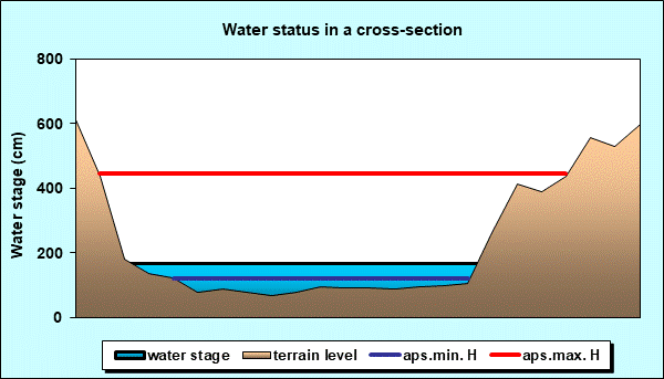Water status in a cross - section