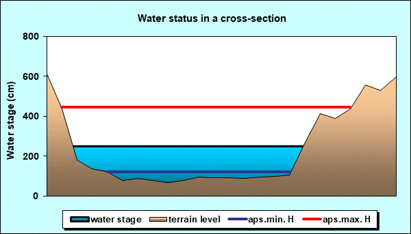 Water status in a cross - section