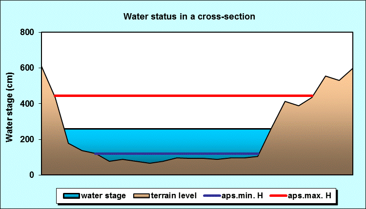 Water status in a cross - section