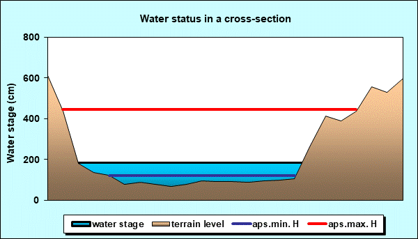 Water status in a cross - section
