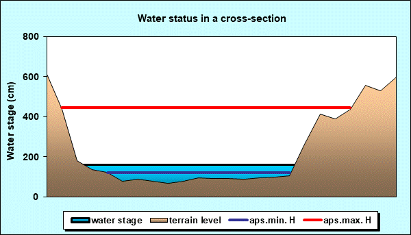 Water status in a cross - section