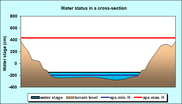 Water status in a cross - section