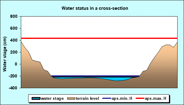 Water status in a cross - section