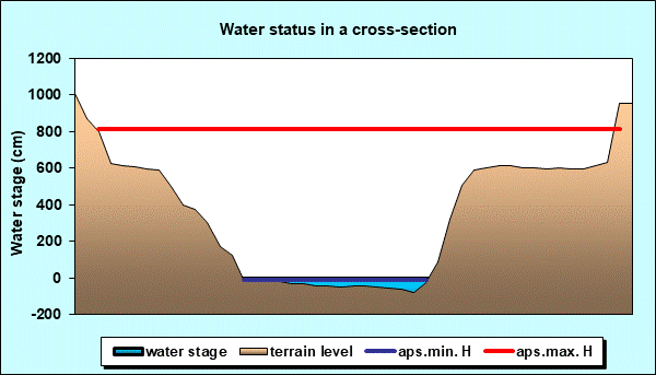 Water status in a cross - section