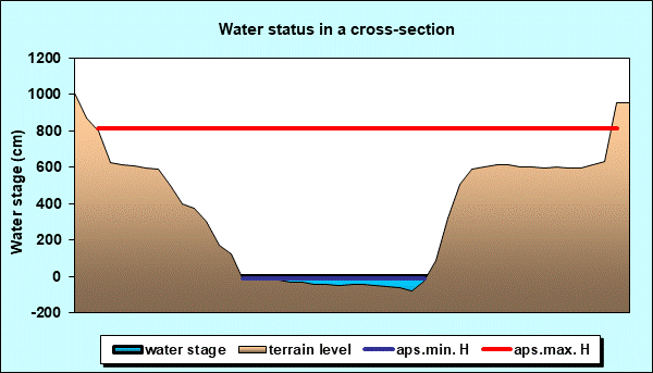 Water status in a cross - section