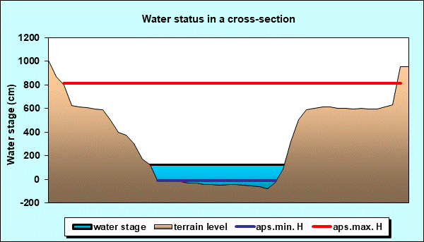 Water status in a cross - section