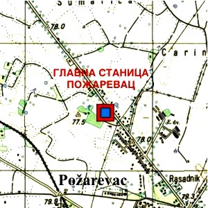 Локација:  Пожаревац  