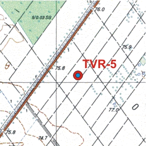 Location: